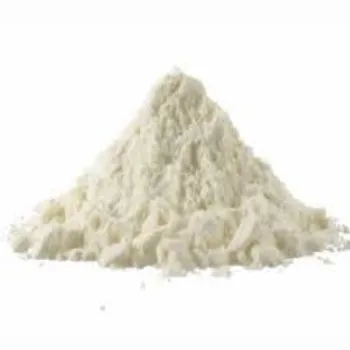 milk-protein07-5808566-94957.webp