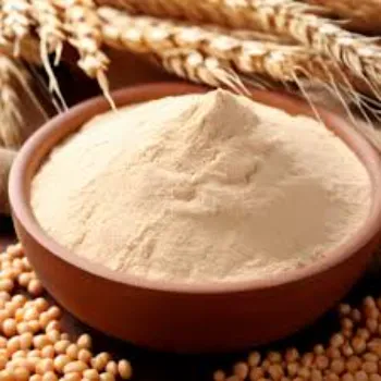 milk-protein39-4905692-2852.webp