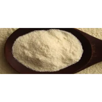 milk-protein47-3714435-69920.webp