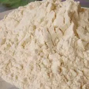 milk-protein51-6065113-7641.webp