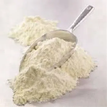 milk-protein57-2284385-82811.webp