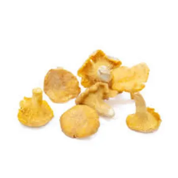 Frozen Mushroom mush-room12-4707536-66759.webp