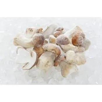 Frozen Mushroom mush-room4-1946190-71372.webp