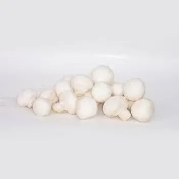 Frozen Mushroom mush-room6-7560868-67445.webp