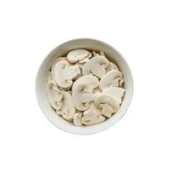 Frozen Mushroom mush-room8-6160950-91797.webp