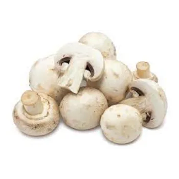 mushroom-693874-33349.webp