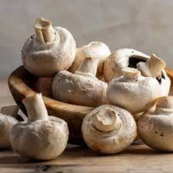mushroom02-3553334-26220.webp