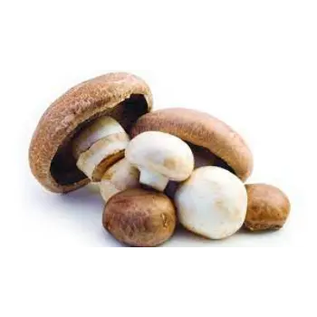 mushroom02-4708139-60863.webp