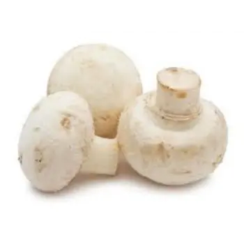 mushroom02-6420892-5697.webp
