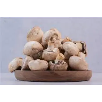 mushroom04-4883294-52997.webp