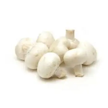 mushroom05-4026607-72675.webp