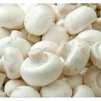 mushroom06-1153309-69283.webp