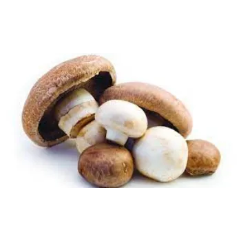 Organic Frozen Mushroom mushroom06-617967-24463.webp