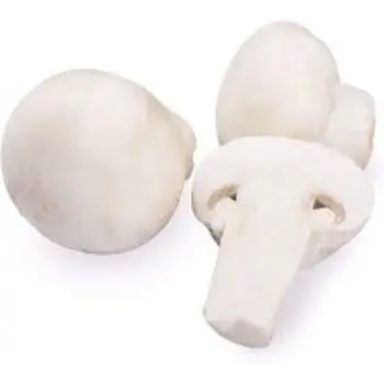 mushroom07-5179149-79082.webp