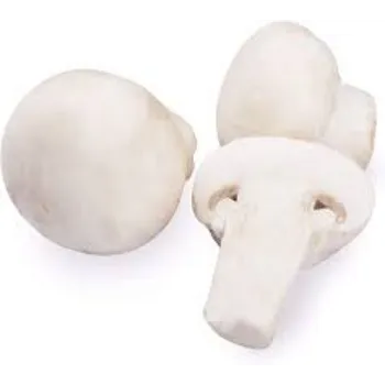 Natural Frozen Mushroom mushroom07-5495731-74539.webp