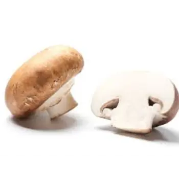 Natural Frozen Mushroom mushroom08-6320675-50445.webp