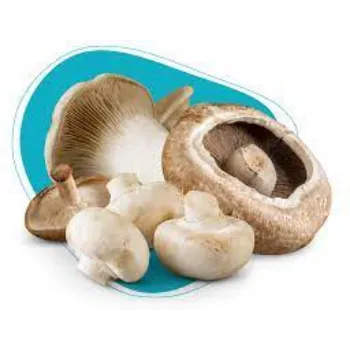 mushroom08-6393001-49165.webp