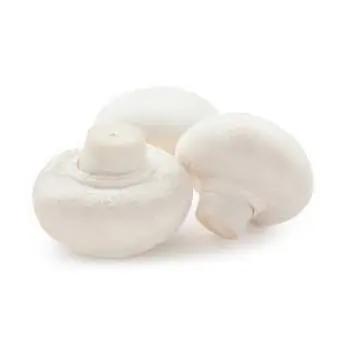 mushroom10-2506039-56011.webp