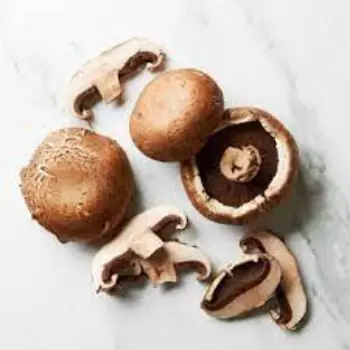 mushroom12-8623810-98901.webp