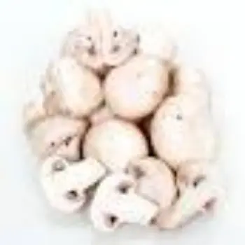 mushroom13-8951847-75008.webp