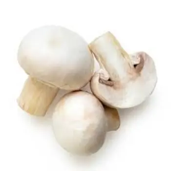 Organic Frozen Mushroom mushroom15-1228946-57189.webp