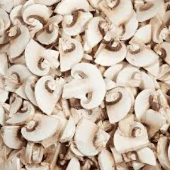 Frozen Mushroom mushroom3-1543721-59233.webp