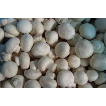 Organic Frozen Mushroom mushroom6-8335068-86178.webp