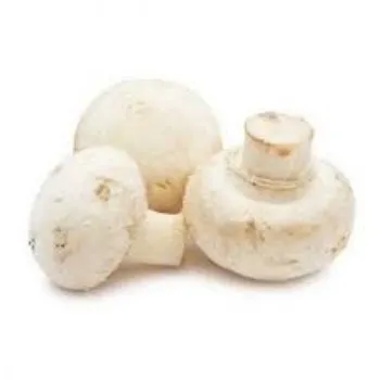 Organic Frozen Mushrooms mushroom8-8811558-61448.webp