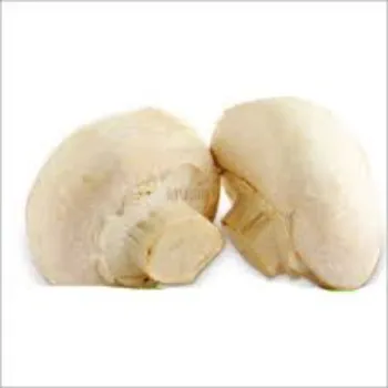 Frozen Mushroom mushrooms1-8344590-27424.webp