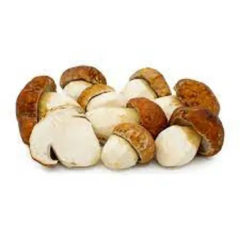 Common Frozen Mushroom mushrum4-875435-79774.webp