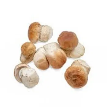 Frozen Mushrooms mushrum5-5183111-80397.webp
