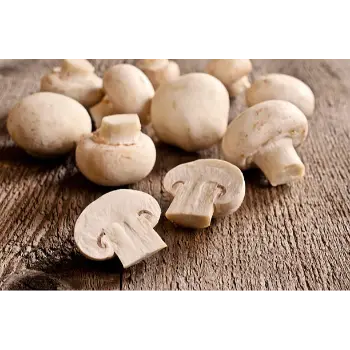 Common Frozen Mushroom musroom-35-4454684-17598.webp