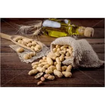 nut-oil-25-9547481-65692.webp