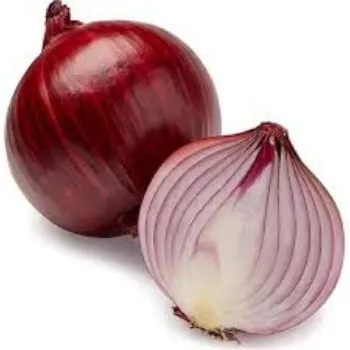 Frozen Onion Cubes oni-on9-5088775-69307.webp