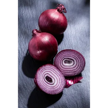 onion-02-7013504-11413.webp
