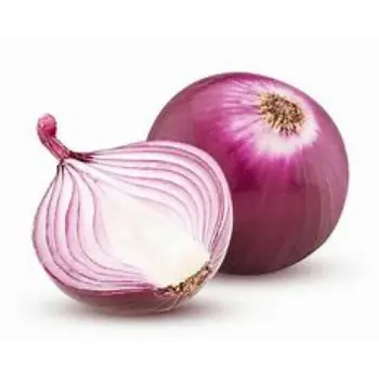 onion-02-9405335-54187.webp