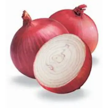 onion-03-6842721-33525.webp