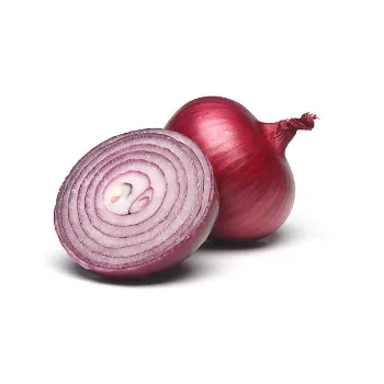 onion-04-6201039-61613.webp