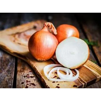 onion-05-443833-78225.webp