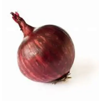onion-05-952825-22789.webp