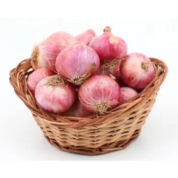 onion-06-8595028-60628.webp