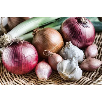 onion-07-4010623-55430.webp
