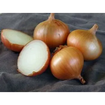 onion-09-5966994-1370.webp