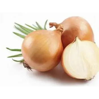 onion-09-8544600-86618.webp