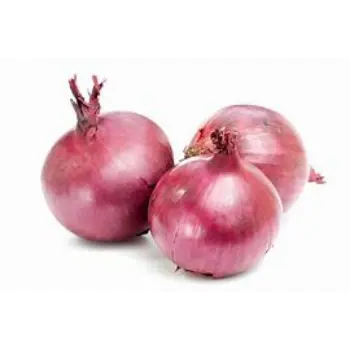 onion-10-6810663-24101.webp