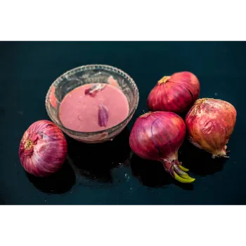 onion-10-8984221-83436.webp