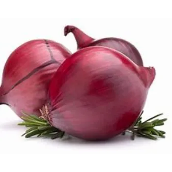 onion-11-4461869-73439.webp