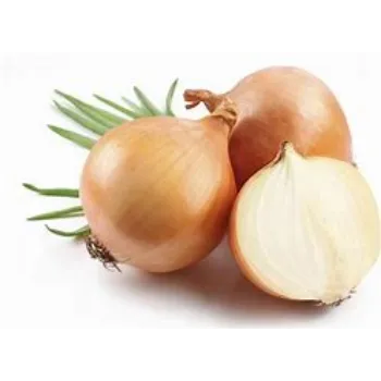 onion-12-3825577-38610.webp