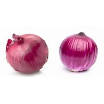 onion-17-2468388-30222.webp