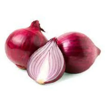 onion01-371080-27798.webp